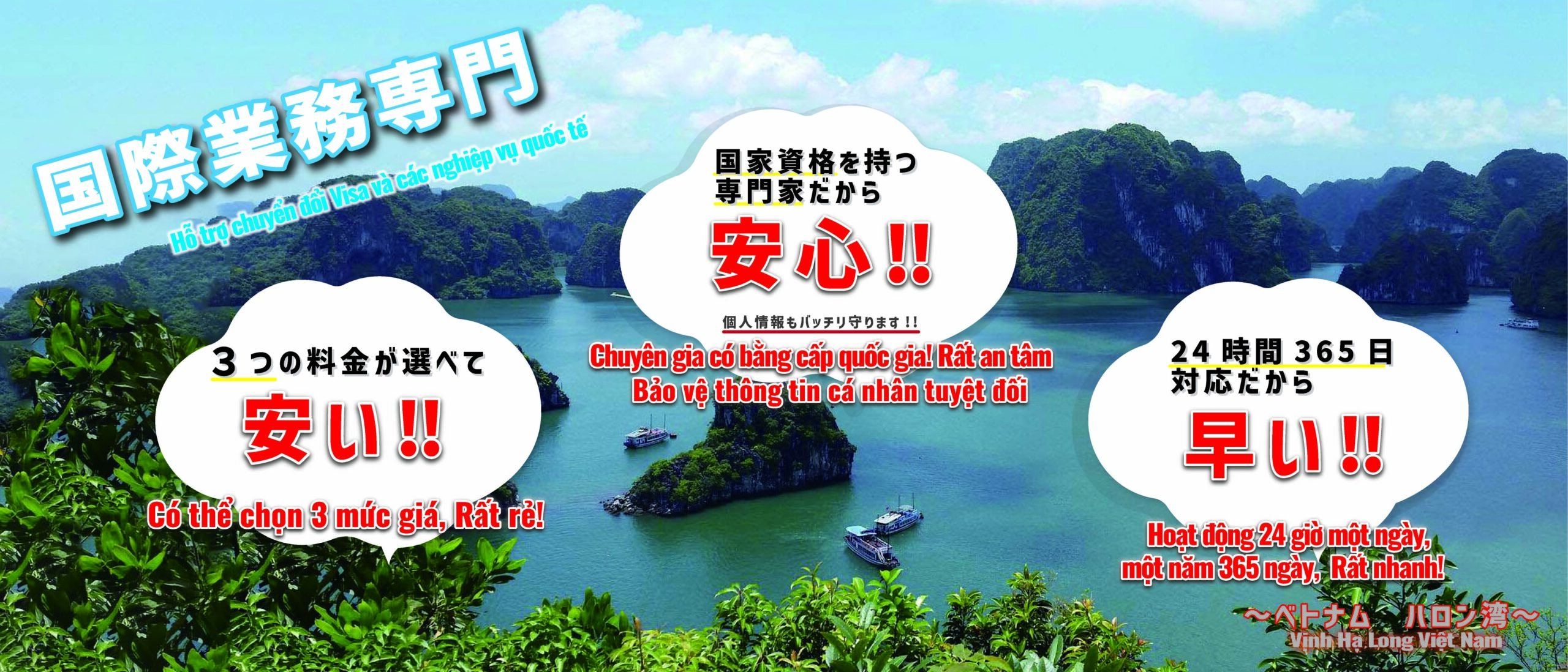 国際業務専門の行政書士事務所、安い、安心、早い、今だけ全額返金保証付き